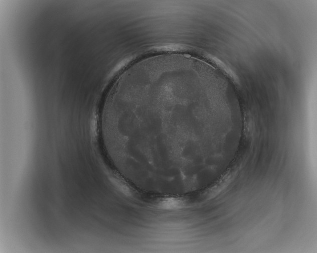 X0000113080111200908281231