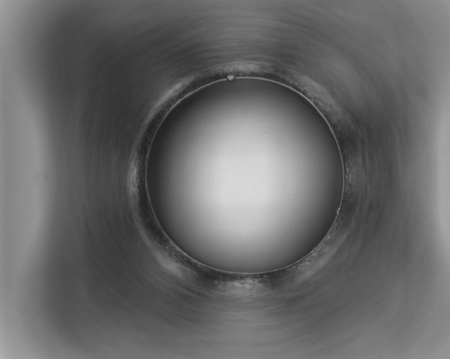 X0000113080112200908281231