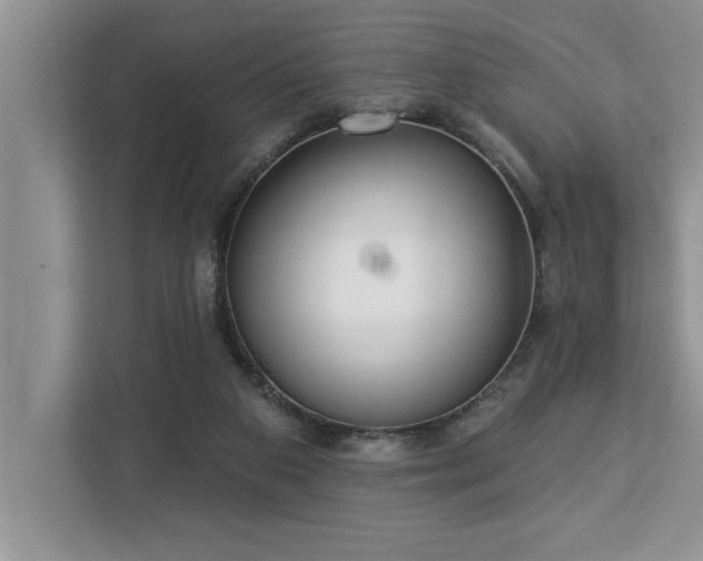 X0000113080113200908281231