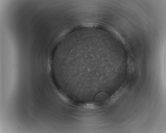 X0000113080114200908281231