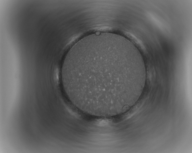 X0000113080115200908281231