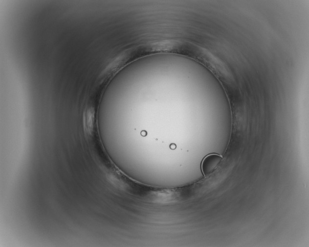 X0000113080118200908281231