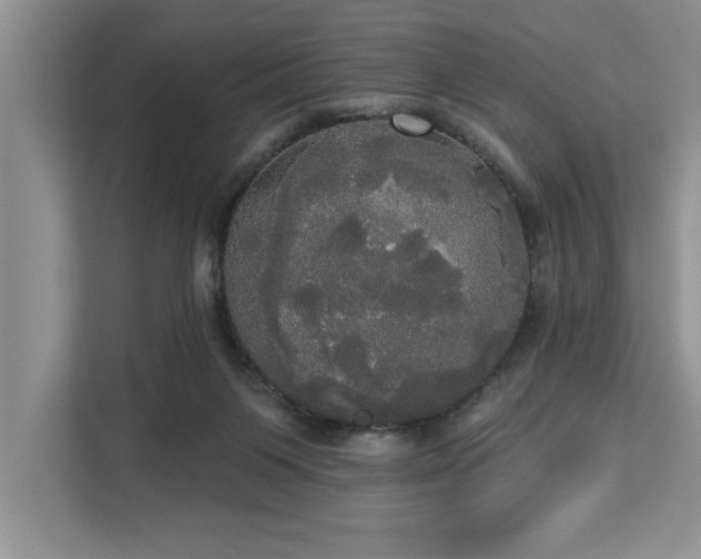 X0000113080119200908281231