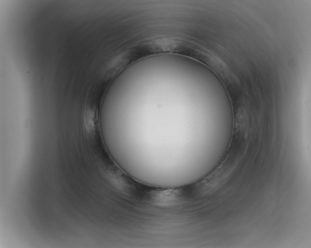 X0000113080122200908281231