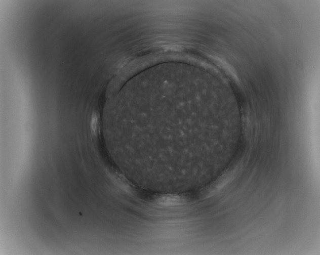 X0000113080123200908281231