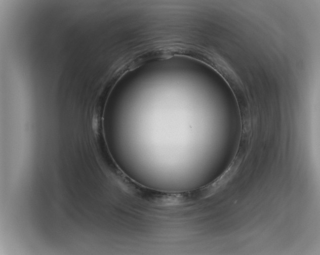 X0000113080124200908281231