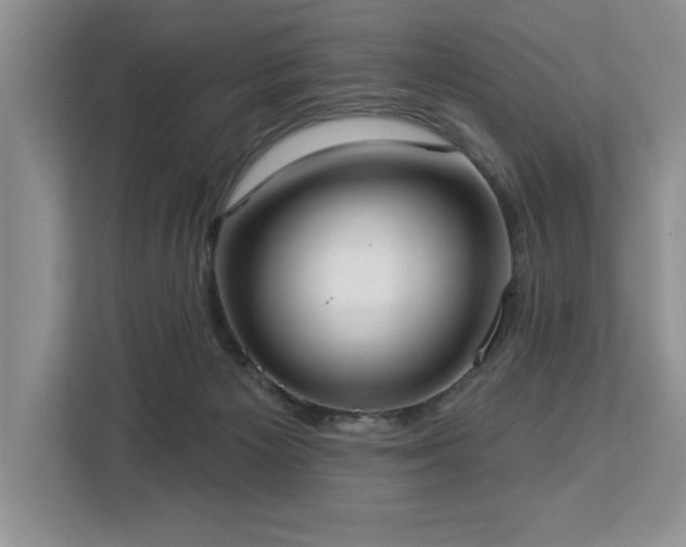 X0000113080125200908281231