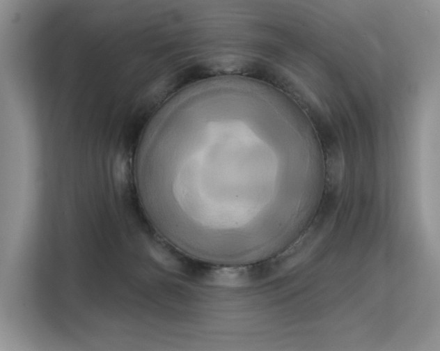 X0000113080126200908281231