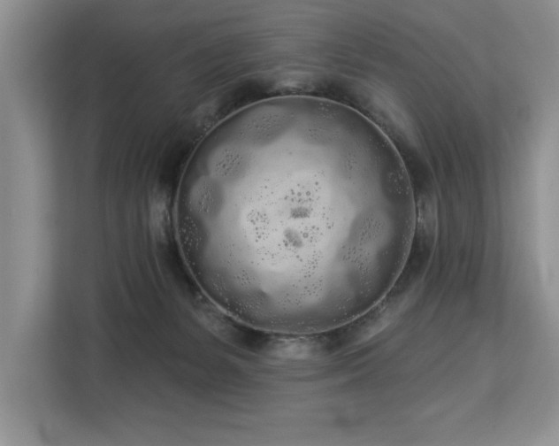 X0000113080127200908281231