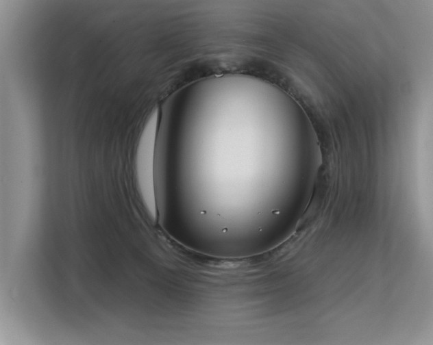 X0000113080129200908281231