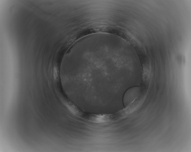 X0000113080130200908281231