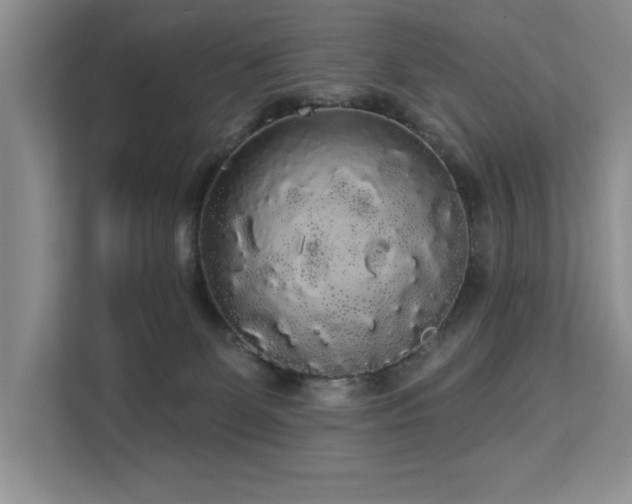 X0000113080131200908281231