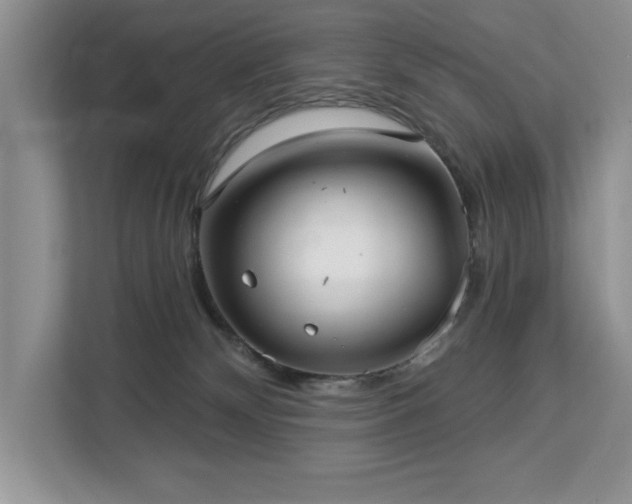 X0000113080132200908281231