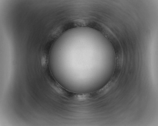 X0000113080134200908281231