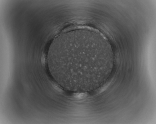 X0000113080135200908281231