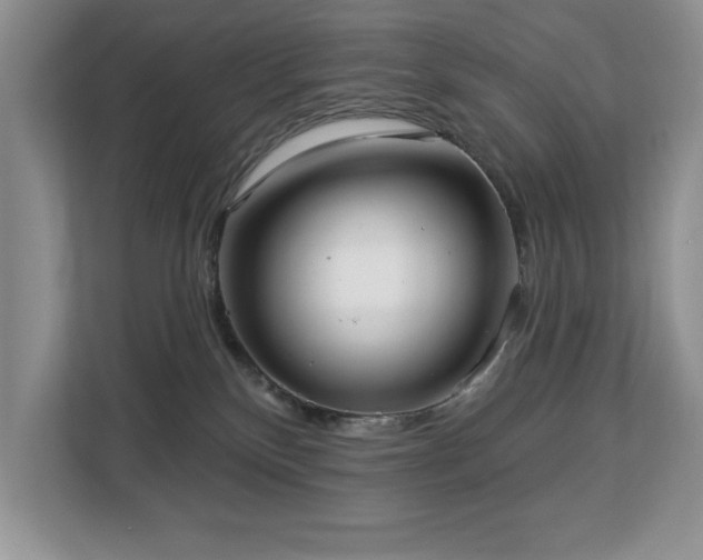 X0000113080136200908281231