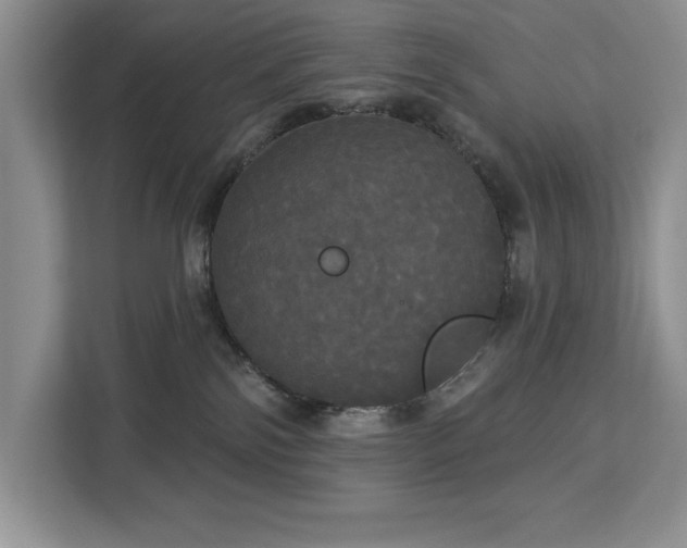 X0000113080138200908281231