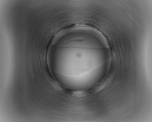 X0000113080139200908281231