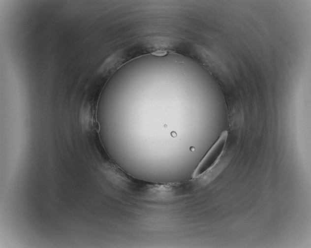 X0000113080140200908281230