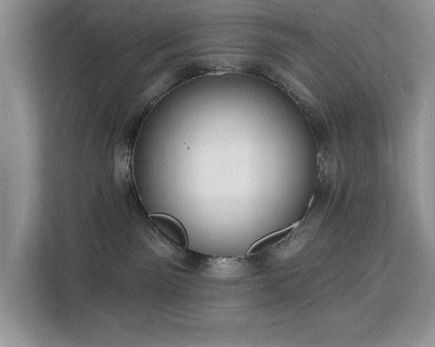 X0000113080141200908281230