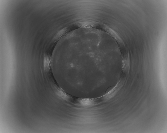 X0000113080142200908281230