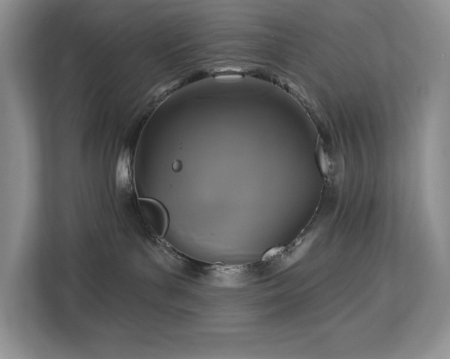 X0000113080143200908281230