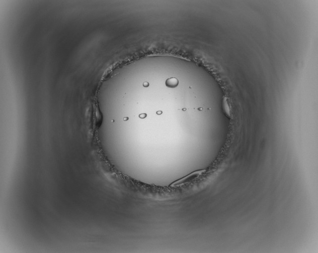 X0000113080144200908281230