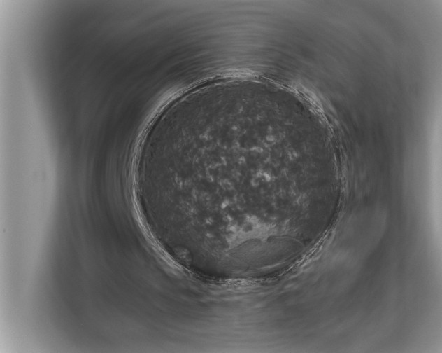 X0000113080145200908281230