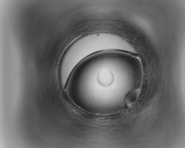 X0000113080146200908281230