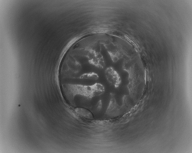 X0000113080147200908281230