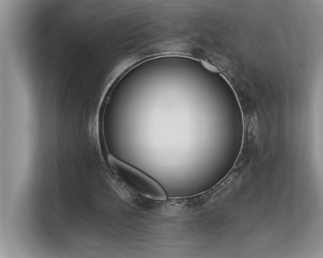 X0000113080148200908281230