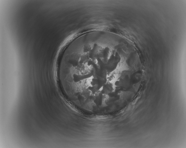 X0000113080149200908281230