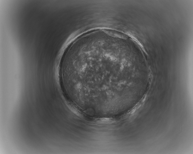 X0000113080151200908281230