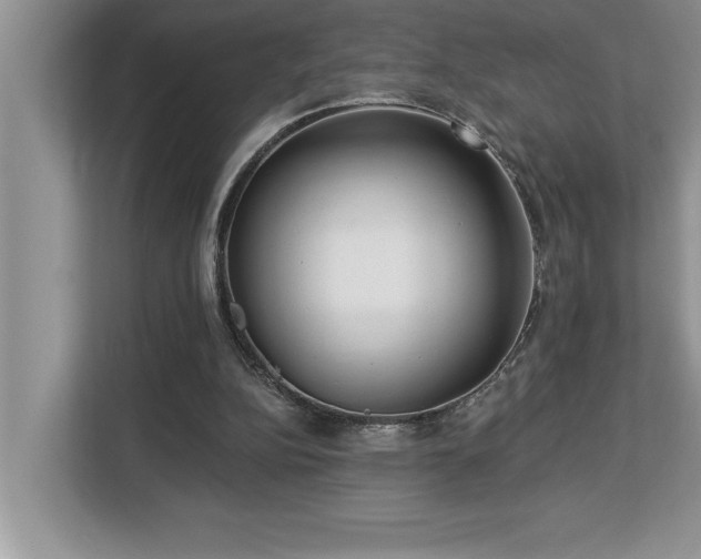 X0000113080152200908281230