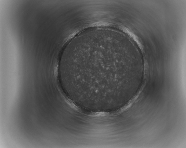 X0000113080153200908281230