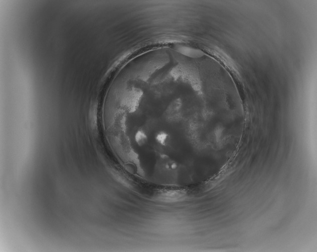 X0000113080155200908281230