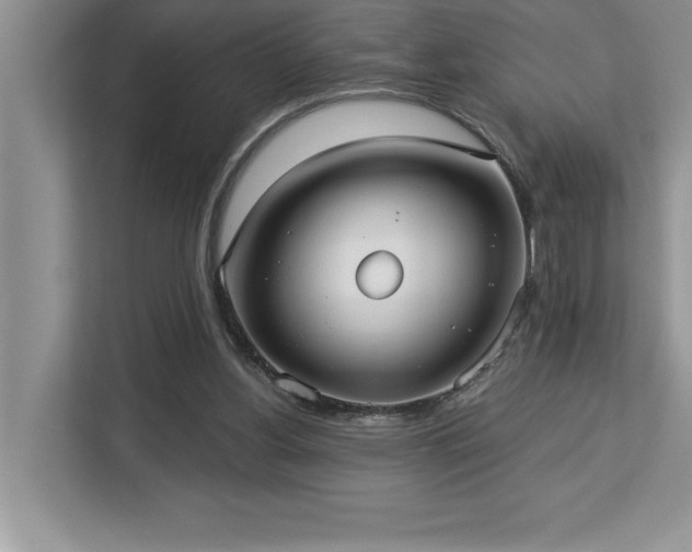 X0000113080156200908281230