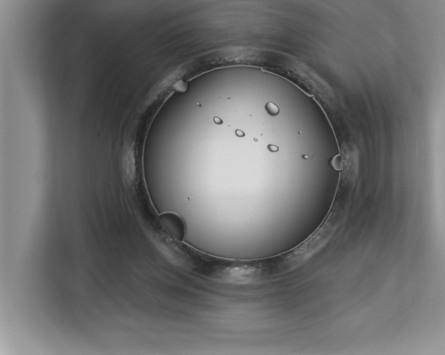 X0000113080158200908281230