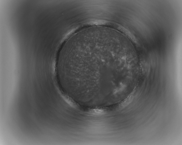 X0000113080159200908281230