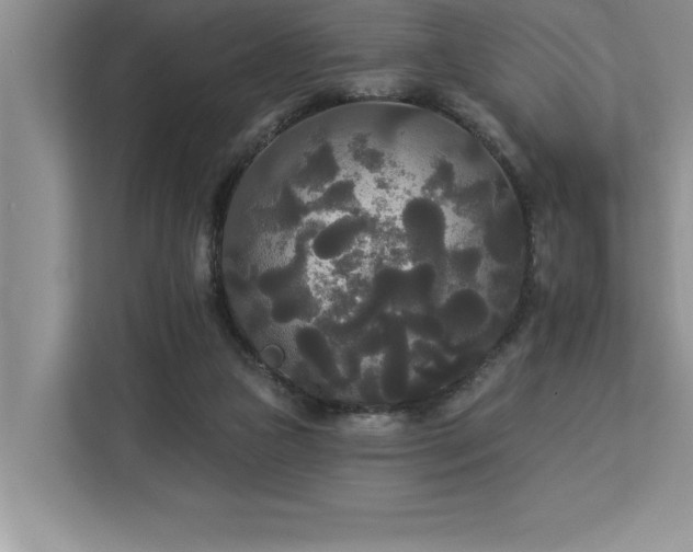 X0000113080161200908281230