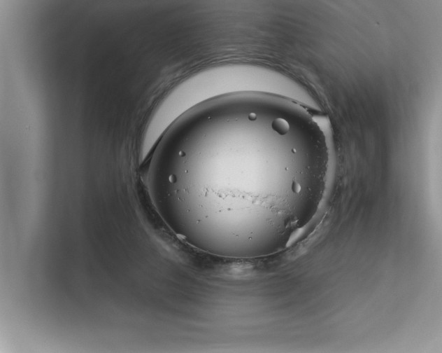 X0000113080162200908281230