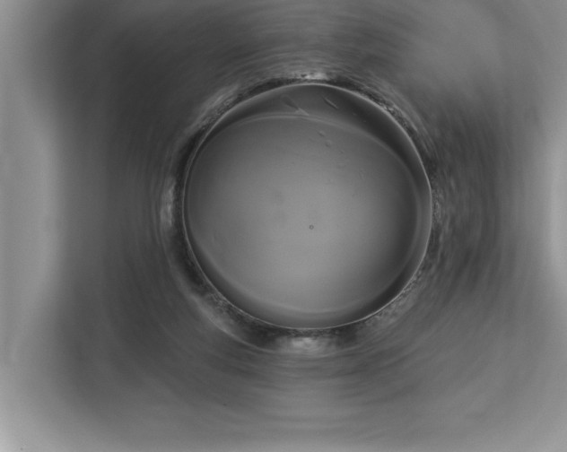 X0000113080163200908281230