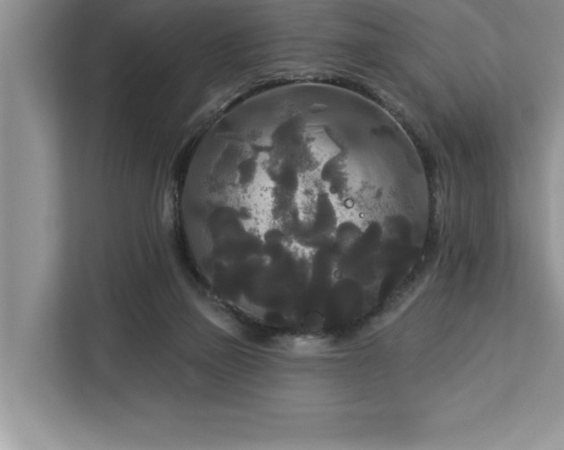 X0000113080165200908281230