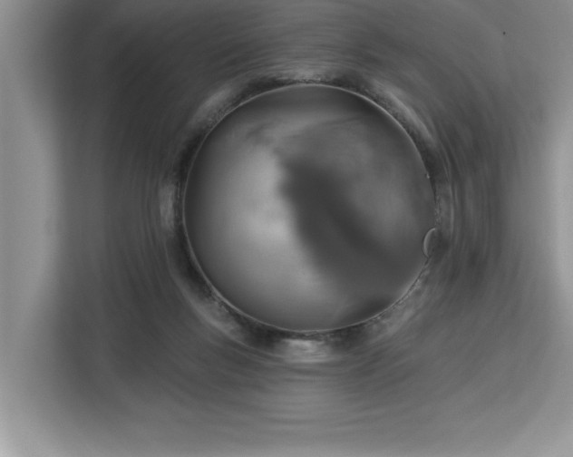 X0000113080167200908281230