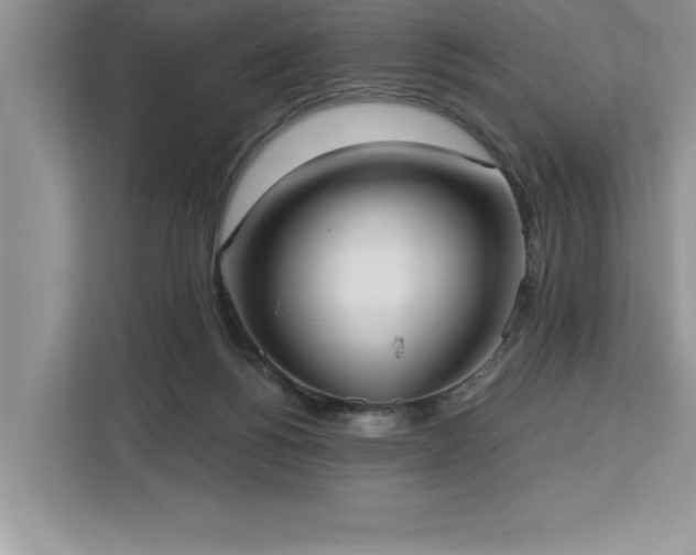 X0000113080168200908281230