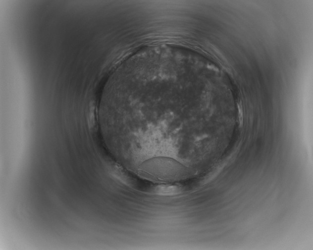 X0000113080169200908281230