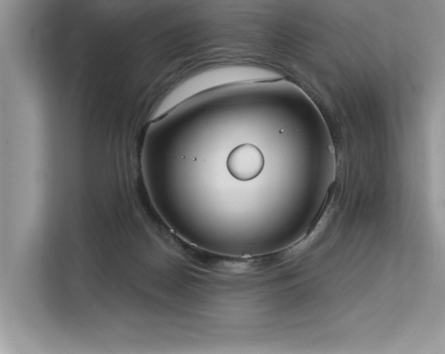 X0000113080170200908281230