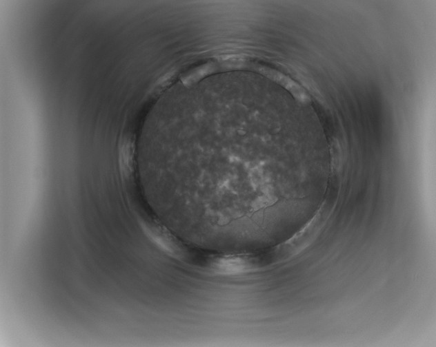 X0000113080171200908281230