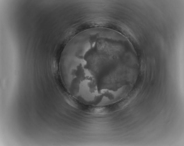 X0000113080173200908281230