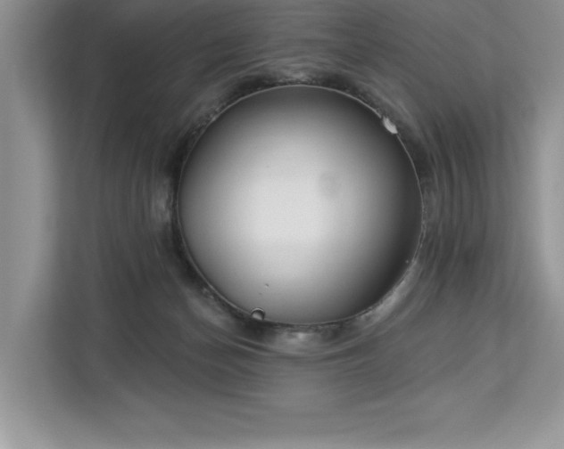 X0000113080174200908281230